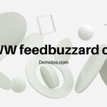 WWW feedbuzzard com