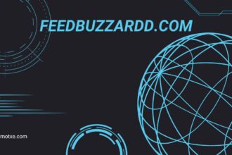 feedbuzzardd.com